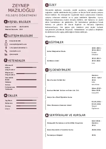 Felsefe Öğretmeni CV Örnekleri cv indir